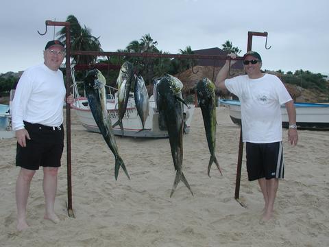 Palmilla Sportfishing