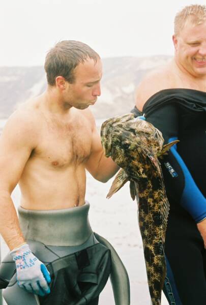 lobster diving in santa barbara