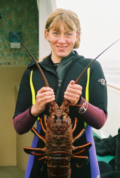 lobster in santa barbara